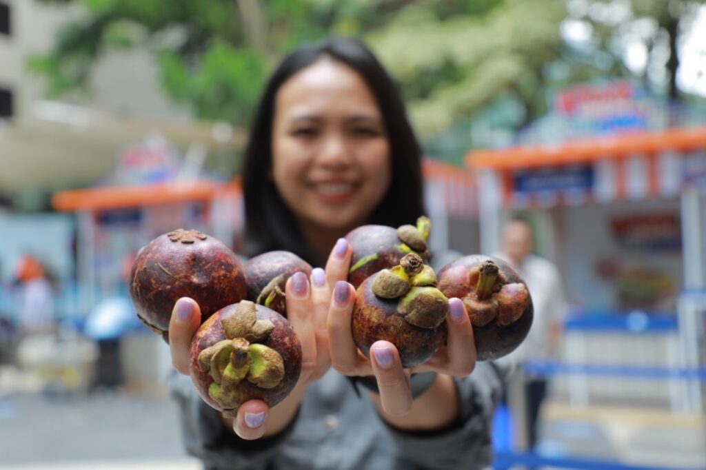 Klaster Usaha Manggis Bhuana Sari