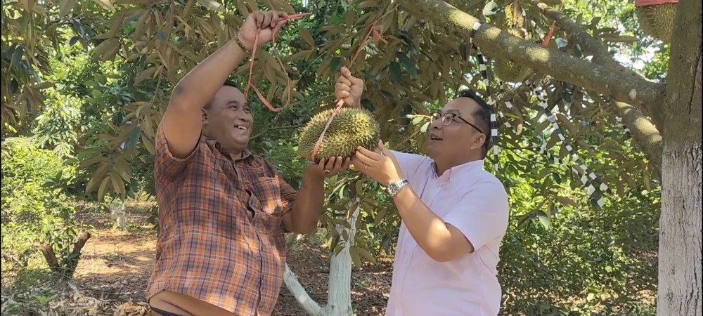 Durian montong  Asluchul Alif