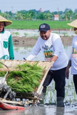 Kabupaten Gresik Dorong Ketahanan Pangan Lewat Program Jaksa Sahabat Tani