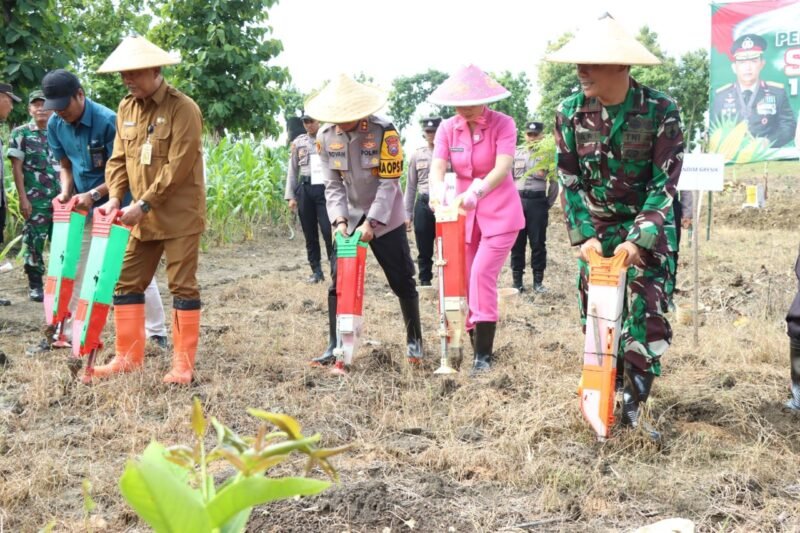 Kapolres Gresik melakukan  Penanaman Jagung Serentak 1 Juta Hektar di Gresik Dukung Ketahanan Pangan