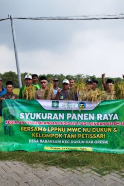 Petani Petisari Gresik Sukses Panen Raya dengan Sistem SLPHT, Diharapkan Meningkatkan Kemandirian Pertanian