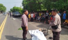 Kecelakaan di Jalan Raya Sukomulyo, Seorang Pesepeda Meninggal Dunia